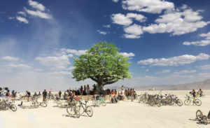 IMG 4439a 300x183 Burning Man 2017